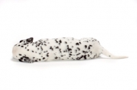 Picture of Damatian puppy sleeping on white background