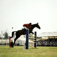 Picture of david broome show jumping, 3 counties show â€˜75