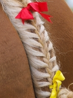 Picture of decorated plaited tail