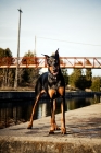 Picture of Doberman standing by river