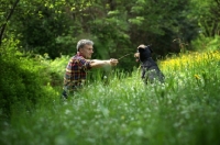 Picture of dog and owner playing with a stick in a field 