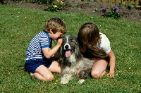Picture of dog good with children