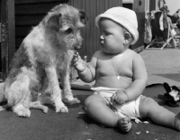 Picture of dog with cute baby