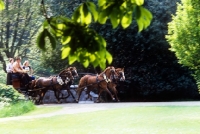 Picture of driving competition in windsor great park