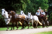 Picture of driving competition in windsor great park