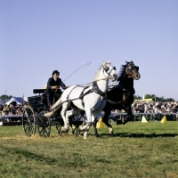 Picture of driving, scurry racing