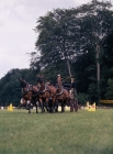 Picture of Duke of Edinburgh Cleveland Bays carriage driving competition, cirencester park,