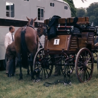 Picture of Duke of Edinburgh with his Cleveland Bays and carriage