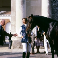 Picture of Dutch Courage, Winner National Dressage Championships 6 times, Jennie Loriston-Clarke's Dutch warm blood at Goodwood