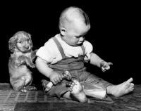 Picture of English Cocker Spaniel puppy with toddler