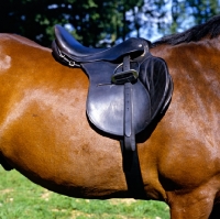 Picture of equipment: jumping saddle