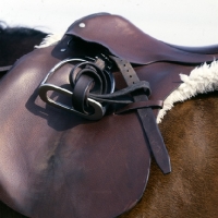 Picture of equipment: saddle with stirrups set up for lungeing