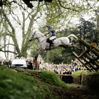 Picture of eventing at badminton 1981, cross country phase