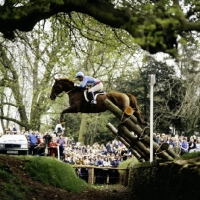 Picture of eventing, badminton, cross country 1981