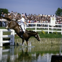 Picture of eventing, cross country, badminton, the lake
