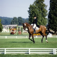 Picture of eventing dressage at luhmÃ¼hlen 