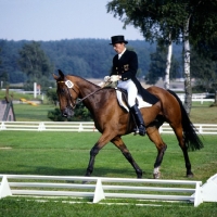 Picture of eventing dressage at luhmuhlen