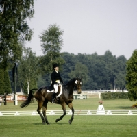 Picture of eventing dressage, rachel bayliss, gurgle the greek, luhmuhlen 1979
