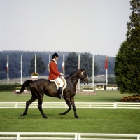 Picture of eventing dressage, s.fedko,  riding sedum, USSR, luhmuhlen 1979, sedum
