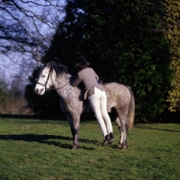 Picture of exercises on horseback