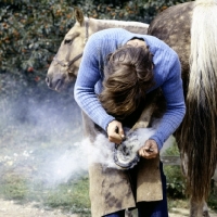 Picture of farrier hot shoeing