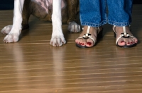 Picture of feet of boxer and woman