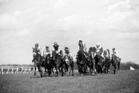 Picture of flat racing at ascot, 1980