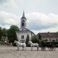 Picture of four kladruber horses in harness in front of ancient kladruby buildings, czech republic