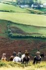 Picture of fox hunting on exmoor, horses and riders on hillside