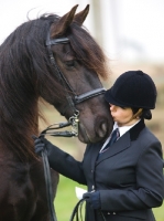Picture of Friesian with rider