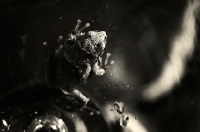 Picture of Frog in glass, spring peeper