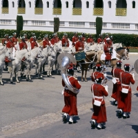 Picture of garde royale in parade at rabat morocco