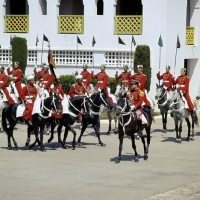 Picture of garde royale in parade at rabat morocco