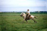 Picture of gardien riding a Camargue pony on the camargue
