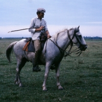 Picture of Gardien riding camargue pony