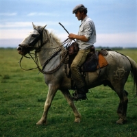 Picture of Gardien riding Camargue pony