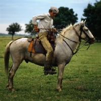 Picture of Gardien riding camargue pony