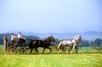 Picture of george bowman and his team at driving competition Zug 1981