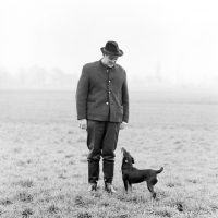 Picture of german hunt terrier, ger ch ethel vom alderhorst, looking up at her owner