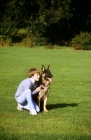 Picture of german shepherd dog with his young owner