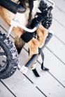 Picture of German Shepherd in wheel chair