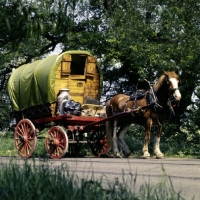 Picture of gipsy caravan