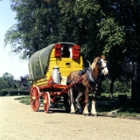 Picture of gipsy caravan