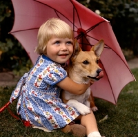 Picture of girl and corgi under parasol