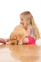 Picture of Girl and Golden Retriever puppy