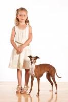 Picture of girl and red and white Italian Greyhound