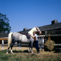 Picture of girl cuddling her pony