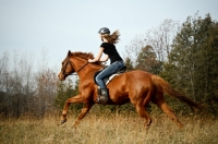 Picture of girl galloping thoroughbred