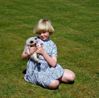 Picture of girl holding a birman kitten with its toy