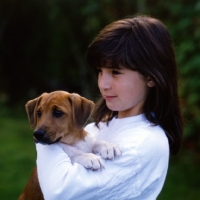 Picture of girl holding a mongrel puppy